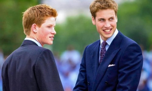 Arte: Harry vs. William - Der royale Bruderzwist