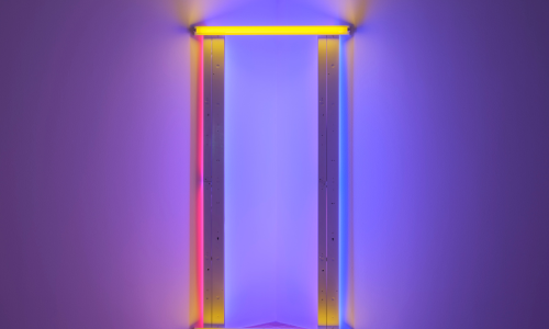 Führung in der Ausstellung «Dan Flavin. Widmungen aus Licht»