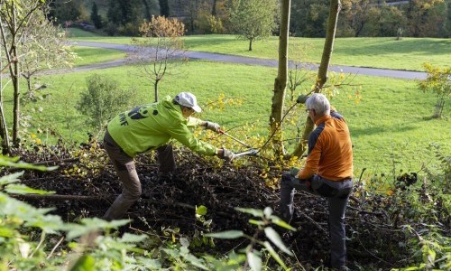 WWF-Kurs - Wieselburgen bauen auf dem Kollektivhof Waldh