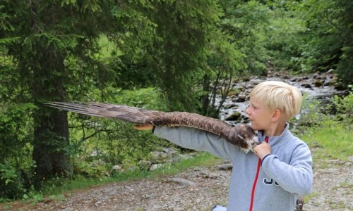 Exkursion im Reich der Steinadler