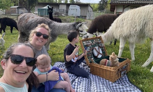 Picknick auf der Alpaka Weide