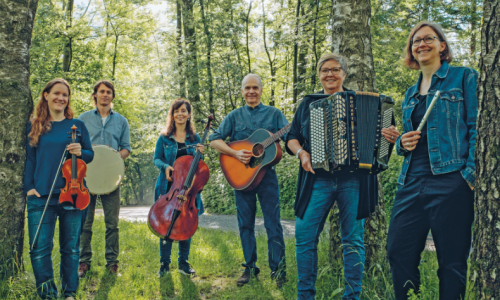 Cottage Irish Folk in Concert