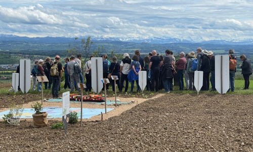 Weltacker Attiswil: Ackersonntag mit öffentlichen Führungen