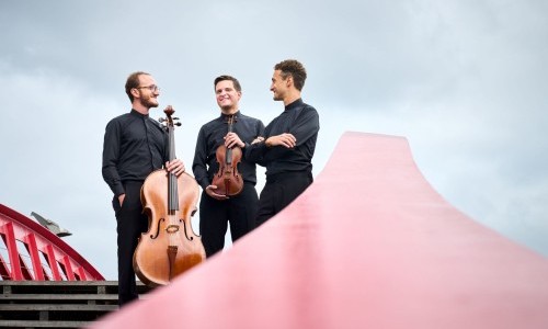 Boswiler Meisterkonzert VII - Busch Trio