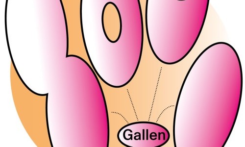 Soul Gallen