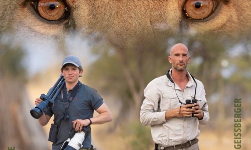 "Durch die Wildnis des südlichen Afrika: Von Kruger bis Okavango"