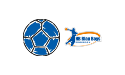 SG TV Stein - HB Blau Boys Binningen