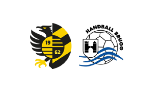 HC KTV Altdorf - Handball Brugg 1