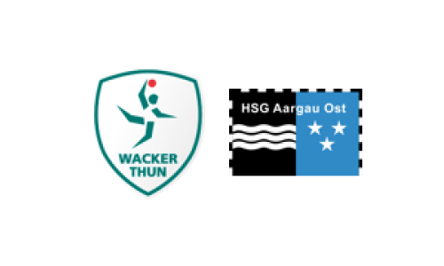 SG LakeSide Wacker-Steffisburg - HSG Aargau Ost