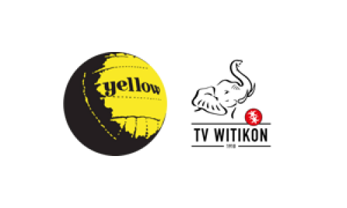 SG Yellow Winterthur - TV Witikon