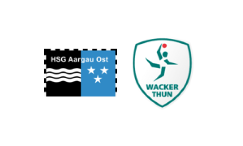 HSG Aargau Ost - SG LakeSide Wacker/Steffisburg