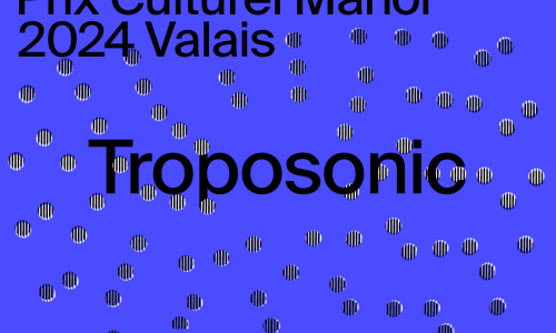 Ausstellung Manor- Kulturpreis 2024 Wallis - Raphael Stucky. Troposonic