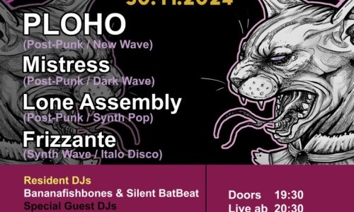 Dark Disco Festival Vol. IV: Ploho (RU) // Mistress (CH) // Lone Assembly (CH) // Frizzante (DE)