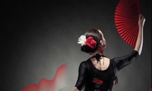 Flamenco sin fronteras - Festival