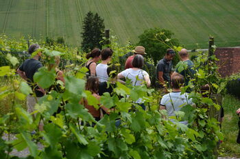 WWF natural use course in the organic vineyard