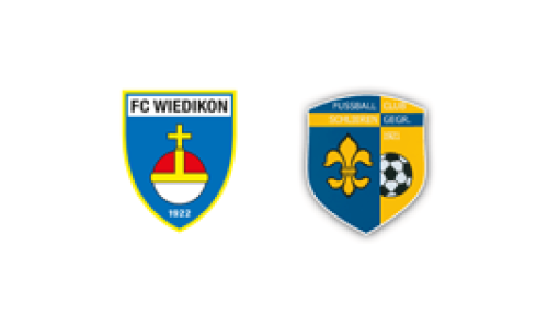 FC Wiedikon ZH c - FA13 GC - FC Schlieren Mädchen c