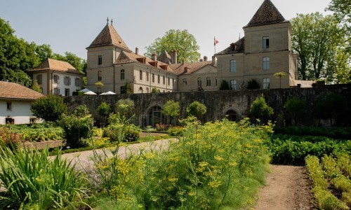 Visite guidée - Au Potager - Les matinales