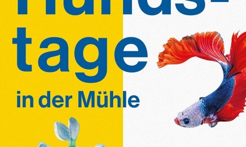 Hundstage – Daniel Schreiber: Die Zeit der Verluste