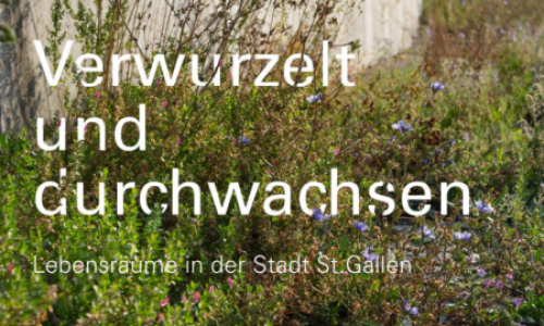 Verwurzelt und durchwachsen – vielfältige Lebensräume in der Stadt St.Gallen