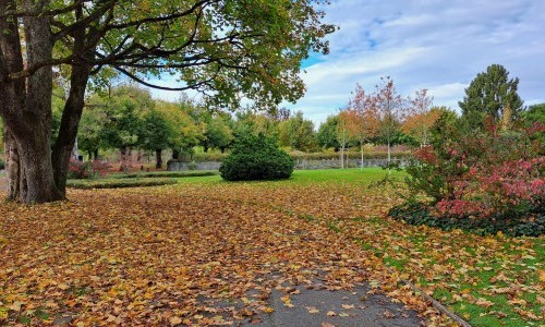 Bremgartenfriedhof