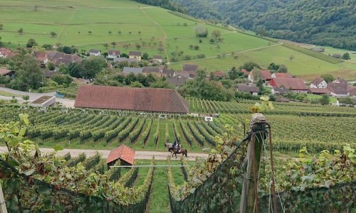 Cafe Sabato im Weingut Stoll