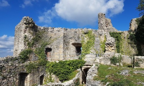 Ruine Dorneck