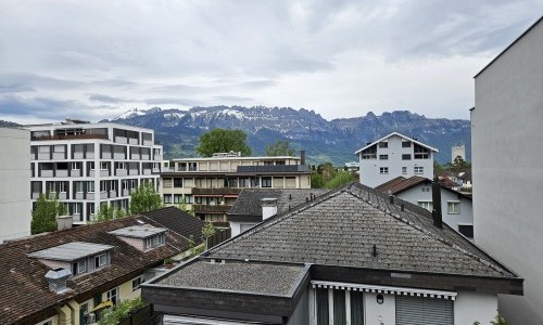 Hotel Buchserhof