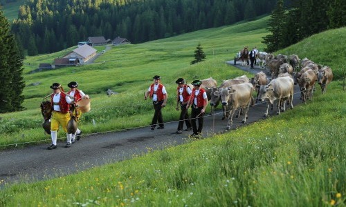 Appenzeller Brauchtumsmuseum