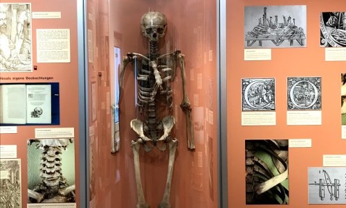 Anatomisches Museum