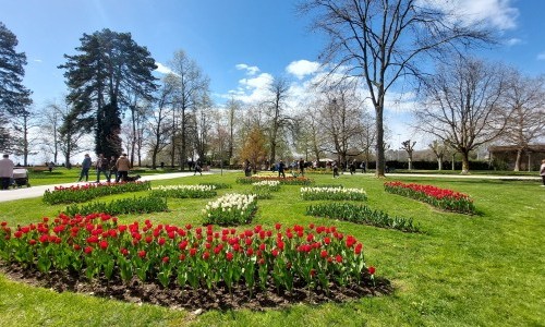 Marché Artisanal de la Fête de la Tulipe - Morges