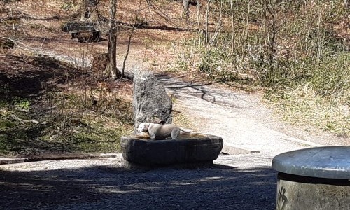 Glasbrunnen