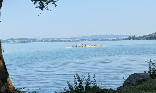 Festhalle Seepark