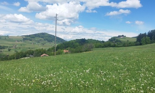 Region Murtensee / Région Lac de Morat