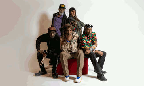 STEEL PULSE