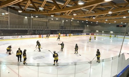 Patinoire des Vergers