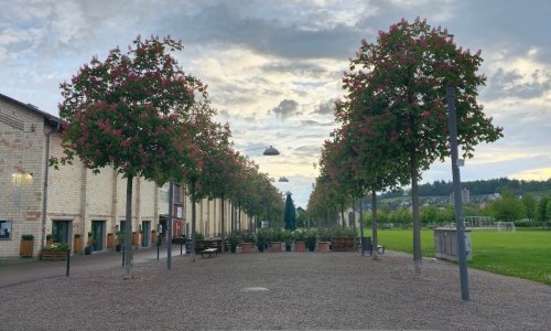 Eulachpark Winterthur