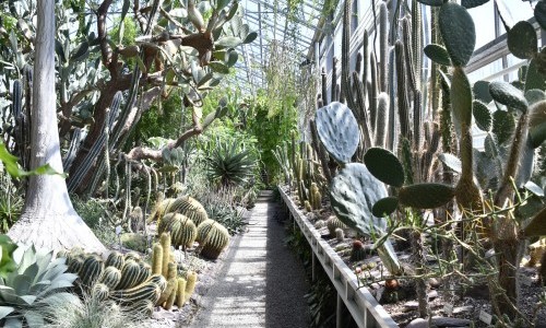 Botanischer Garten