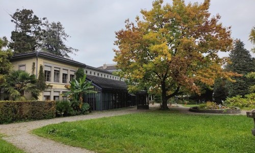 Völkerkundemuseum Universität Zürich