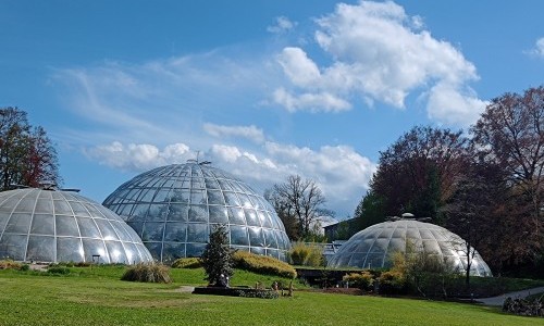 Botanischer Garten